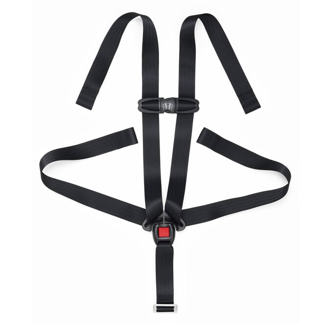 NextFit iX Zip Convertible Car Seat 5-Point Harness with Chest Clip in  image number 0