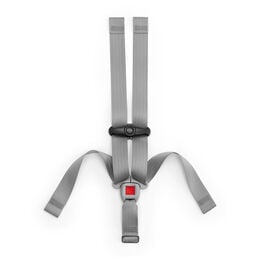 KeyFit Infant Car Seat 5-Point Harness with Chest Clip in 