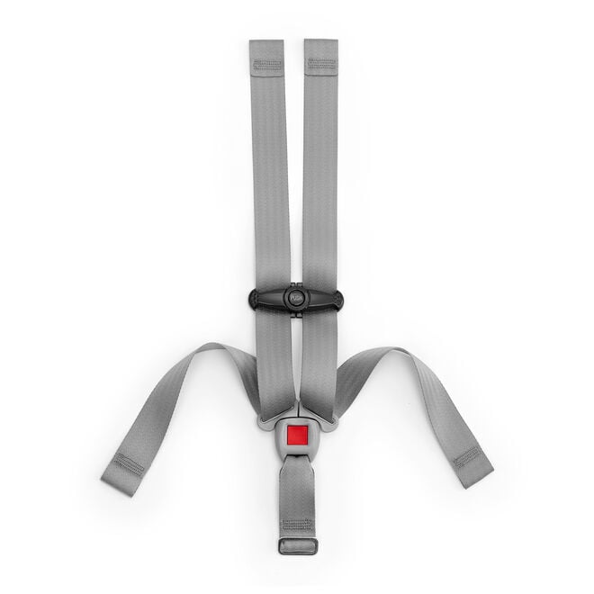 KeyFit Infant Car Seat 5-Point Harness with Chest Clip in  image number 0