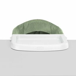 Chicco FastLock Go Hook-On Chair in Moss Front