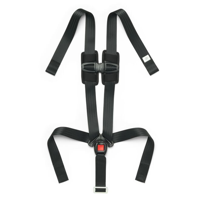 MyFit Harness + Booster Car Seat 5-Point Harness with Chest Clip in  image number 0