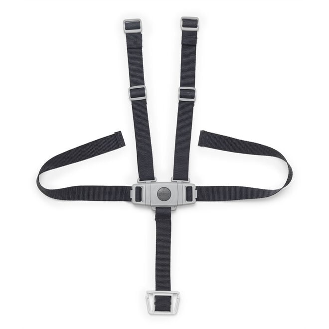 Stack High Chair 5-Point Harness in  image number 0