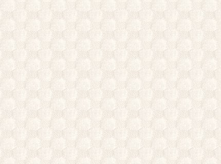 Ivory Fashion